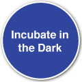 Incubate in the dark