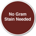 No Gram stain needed