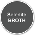 Selenite Broth