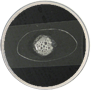 Catalase Test Positive