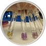 Decarboxylase (Control yellow = valid, Lysine purple = positive, Ornithine purple = positive, Argenine purple = positive)