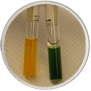 Glucose OF Oxidative